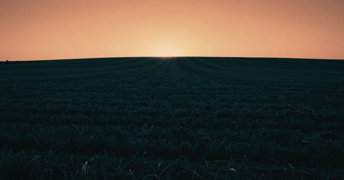 A vast ploughed field at dawn, most of it in deep shadow with a single thin strip catching first light